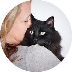 we love our pets photos pets cat love