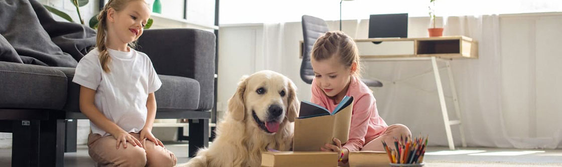Does Embrace Pet Insurance Cover Hip Dysplasia